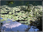 foto Lago di Levico